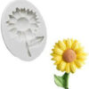 images (5)