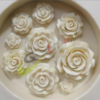 WhatsApp Image 2024-05-26 at 13.50.53-logo(1)(1)