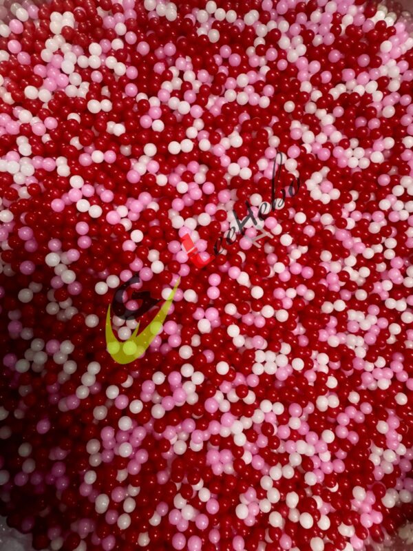 WhatsApp Image 2026-02-23 at 17.29.29 (6)