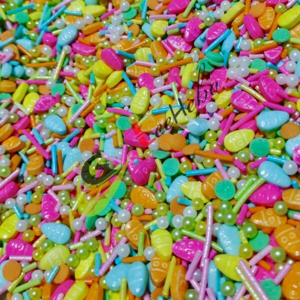 WhatsApp Image 2026-02-23 at 17.29.29